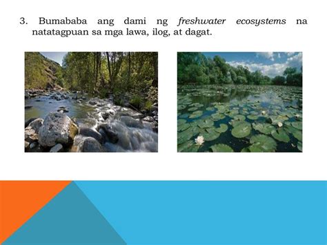 Pangangalaga sa lika na yaman .